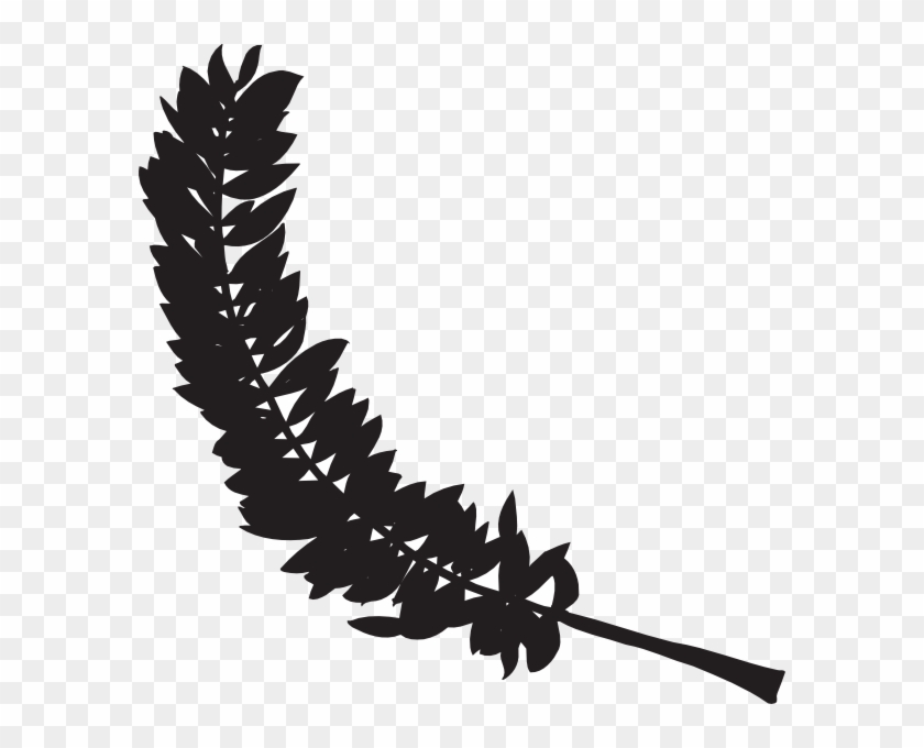 Feather Silhouette Clip Art - ใบไม้ สี ดำ #392350