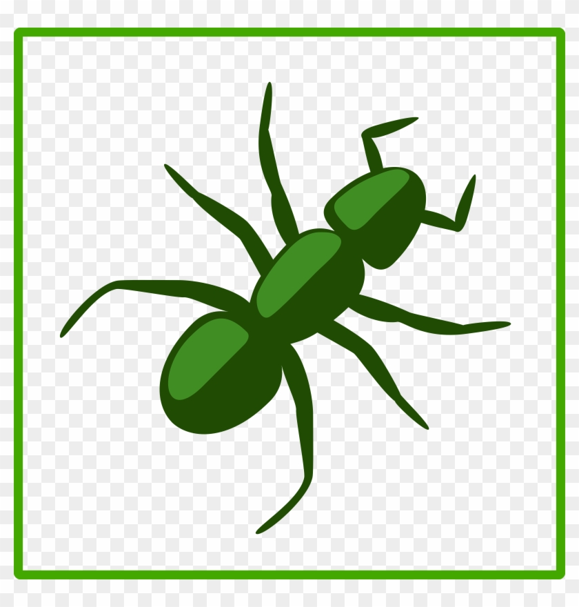 Big Image - Ant Clip Art #392447