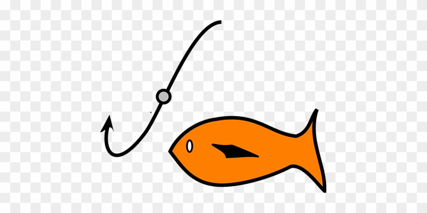 Fish, Fishing, Hook, Bait, Catch, Sport - Fish And Bait #392804