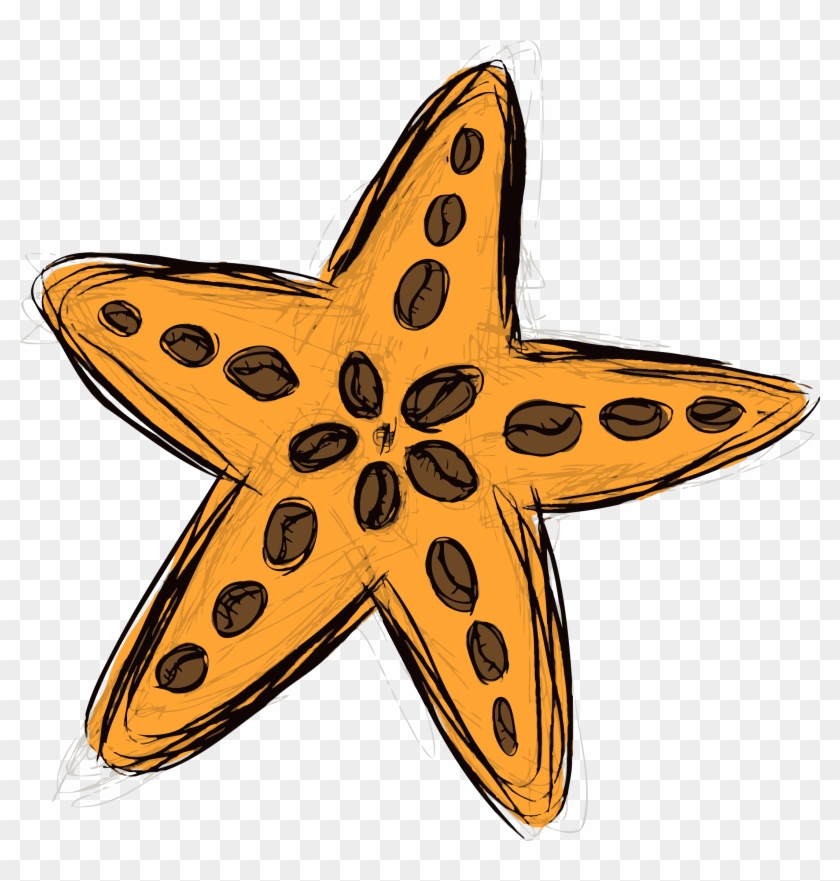 Starfish & Coffee - Starfish #393687