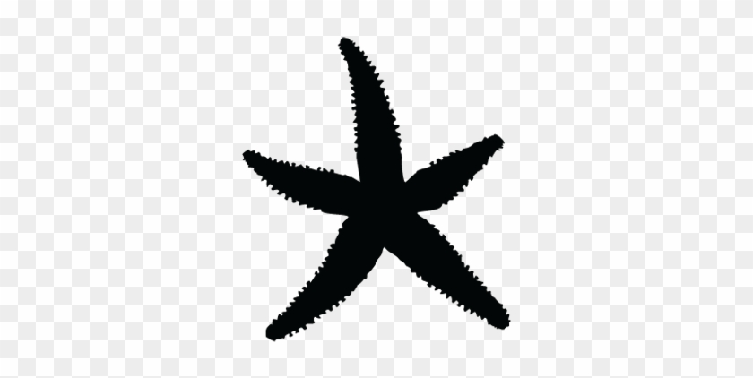 Starfish Silhouette Clip Art - Starfish Silhouette Png #393893