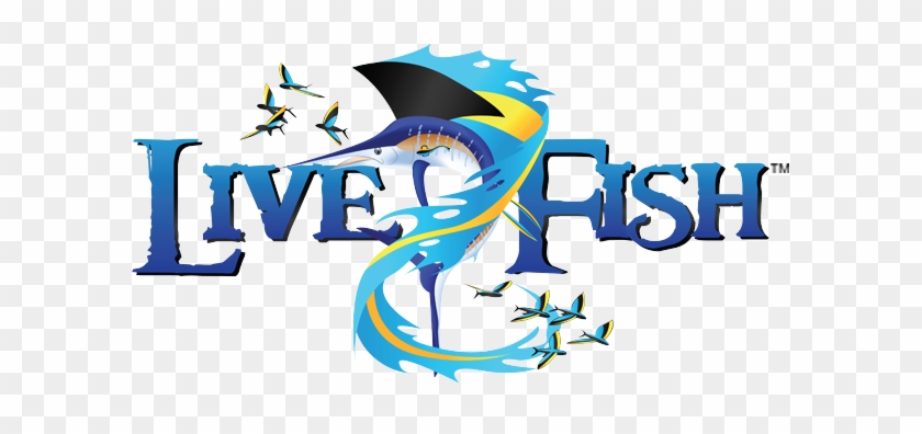 Fish - Fish #393935