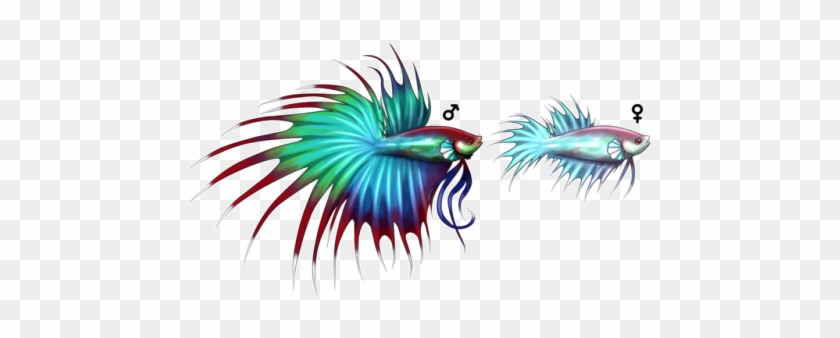 Decided To Make A Betta Pokemon Since There Isn't One - Betta Splendens Fakemon #394151