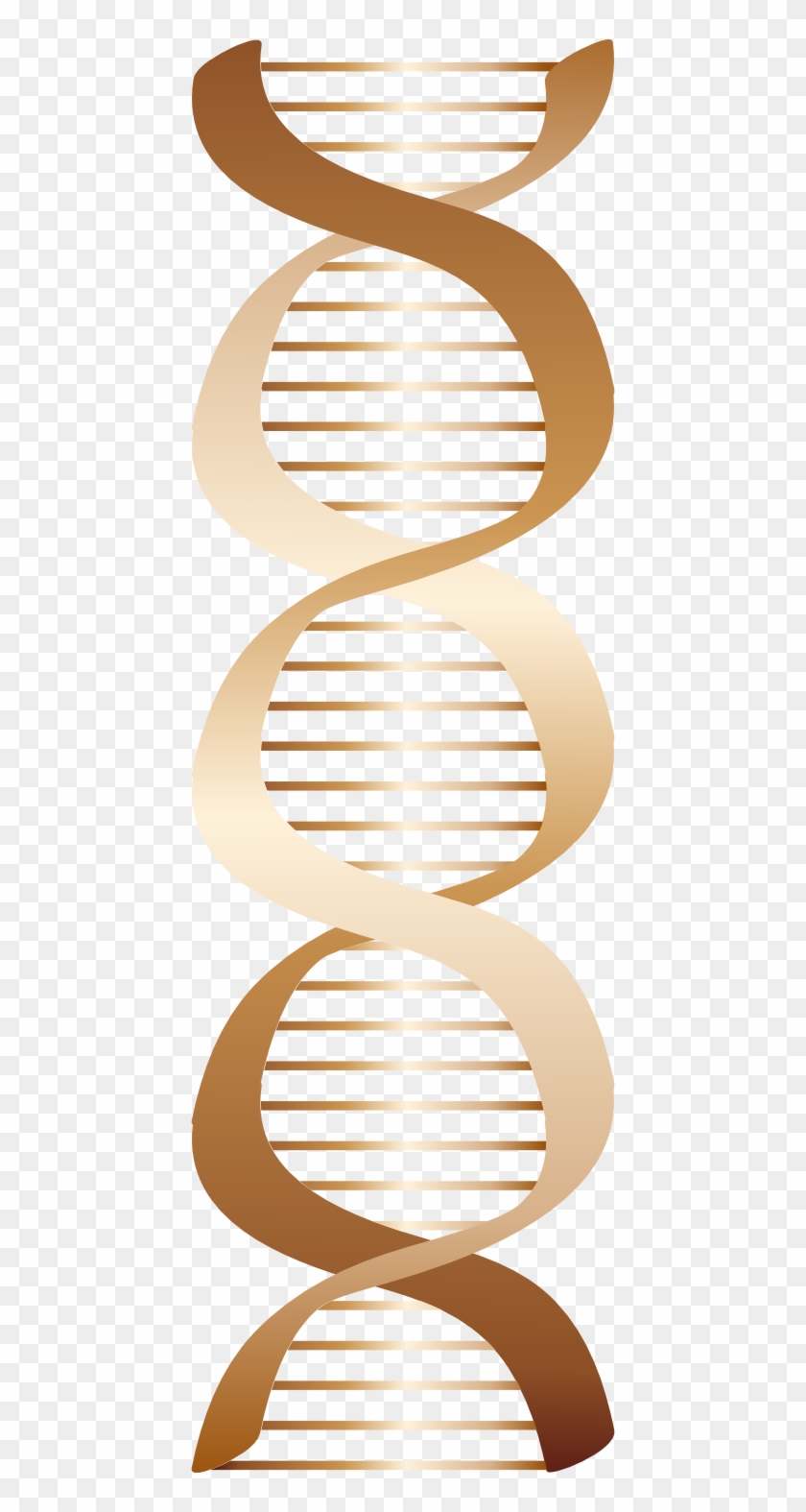 Scalable Vector Graphics Svg - Clip Art #395114