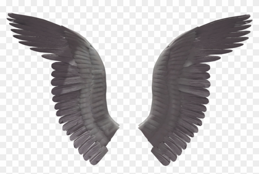 Wings Png - 7 1 4 Metal Cutting Blade #395759