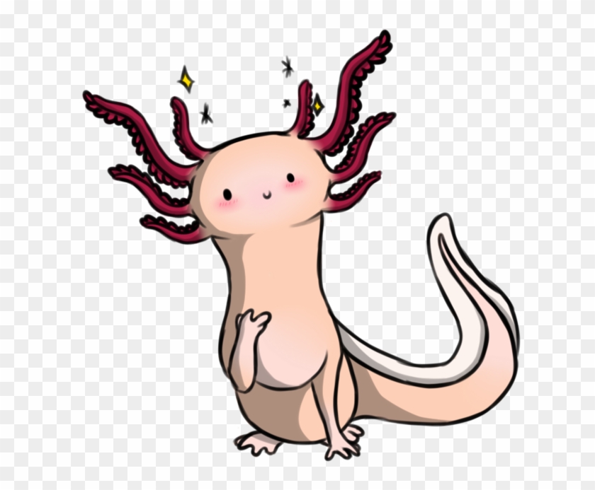 The Cute Axolotl By Ariaangelwing - Drawing #395817