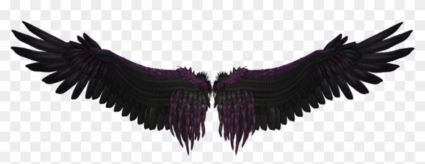 Black Wings Png - Wing #395850