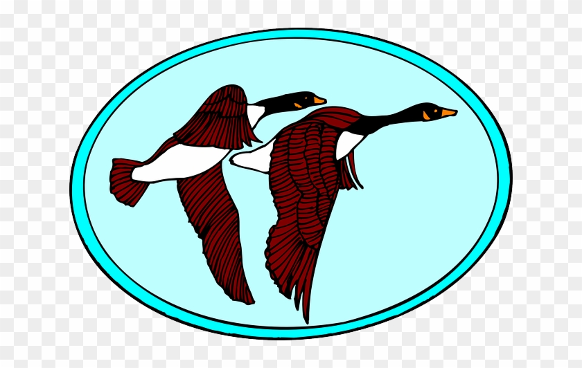 Bird #396023