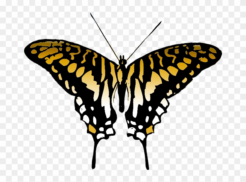 Multicolored Butterfly Image, Butterfly Clipart Brown - Silhouette Art Butterflys #396547