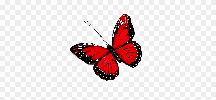 Red Butterfly Png - Red Butterfly Png #396804