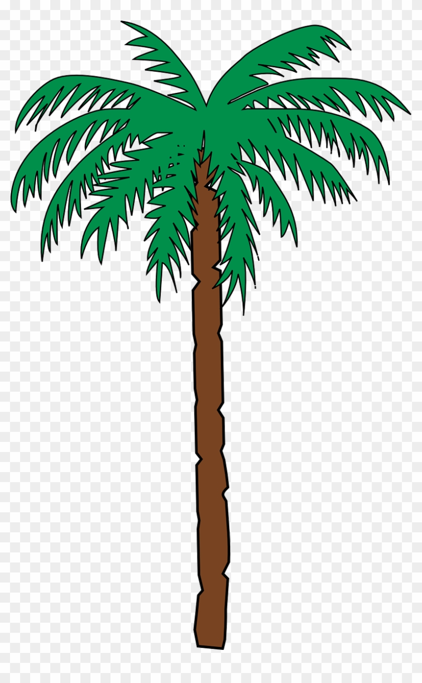 Palm Tree Date Tropical Green Png Image - Haiti Coat Of Arms #396854