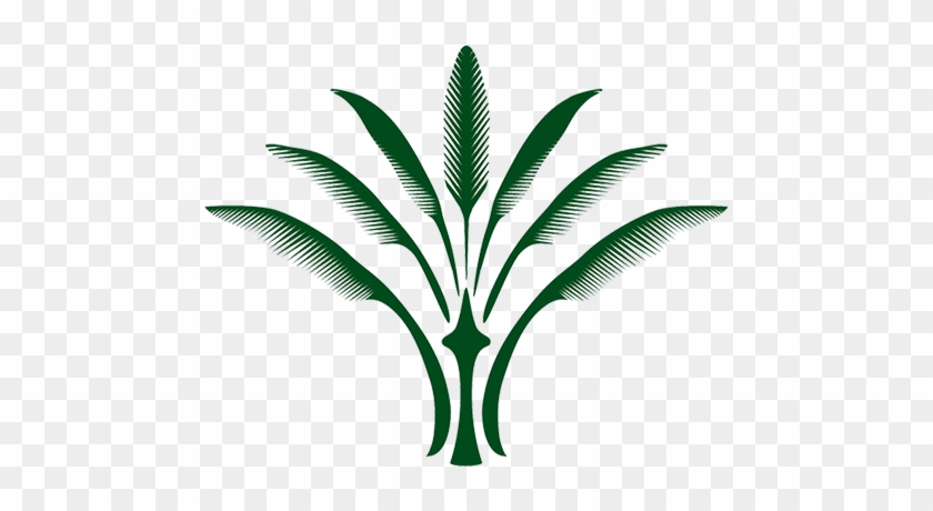   Palm Tree Clip Art #396899