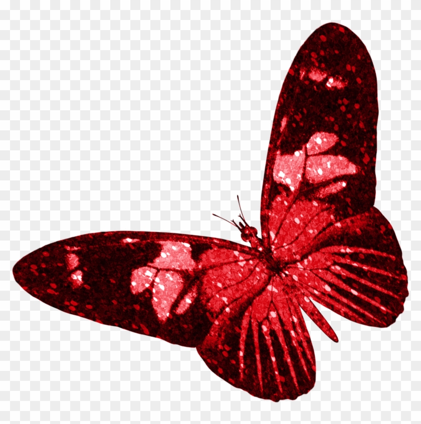 Butterfly Insect Red - Butterfly Insect Red #397077