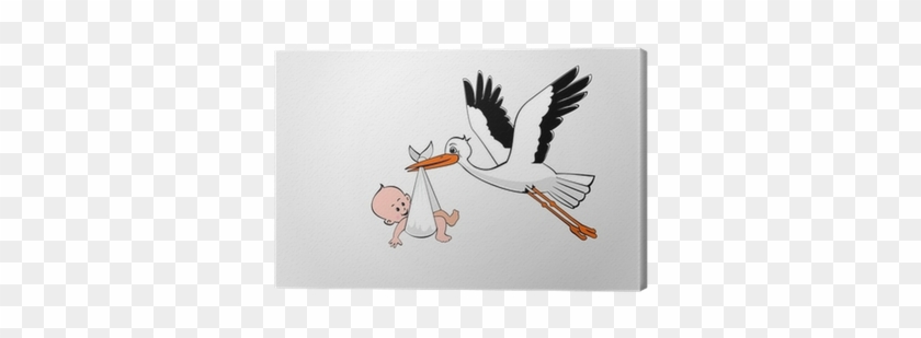 White Stork #397079