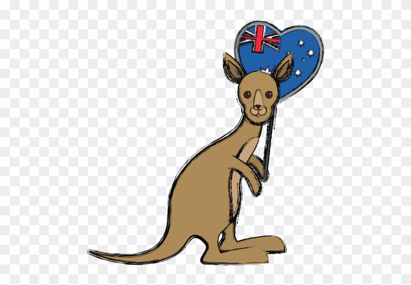 Kangaroo Vector Illustration Animal - Vector Graphics #399073