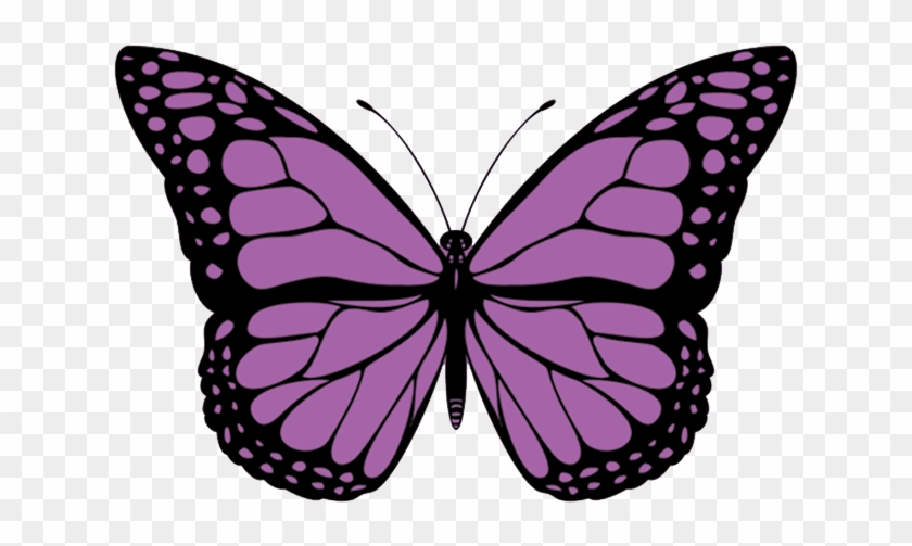 Picture - Mariposas Monarcas De Colores #399099