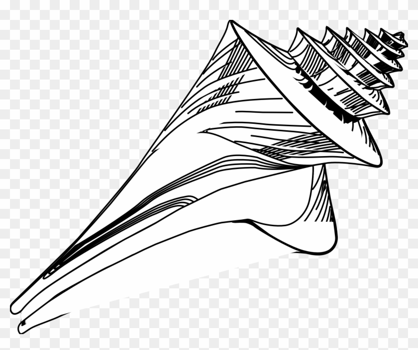 Tattoo's For Seashell Tattoo Black And White - Black And White Ocean Shell Clipart #400416