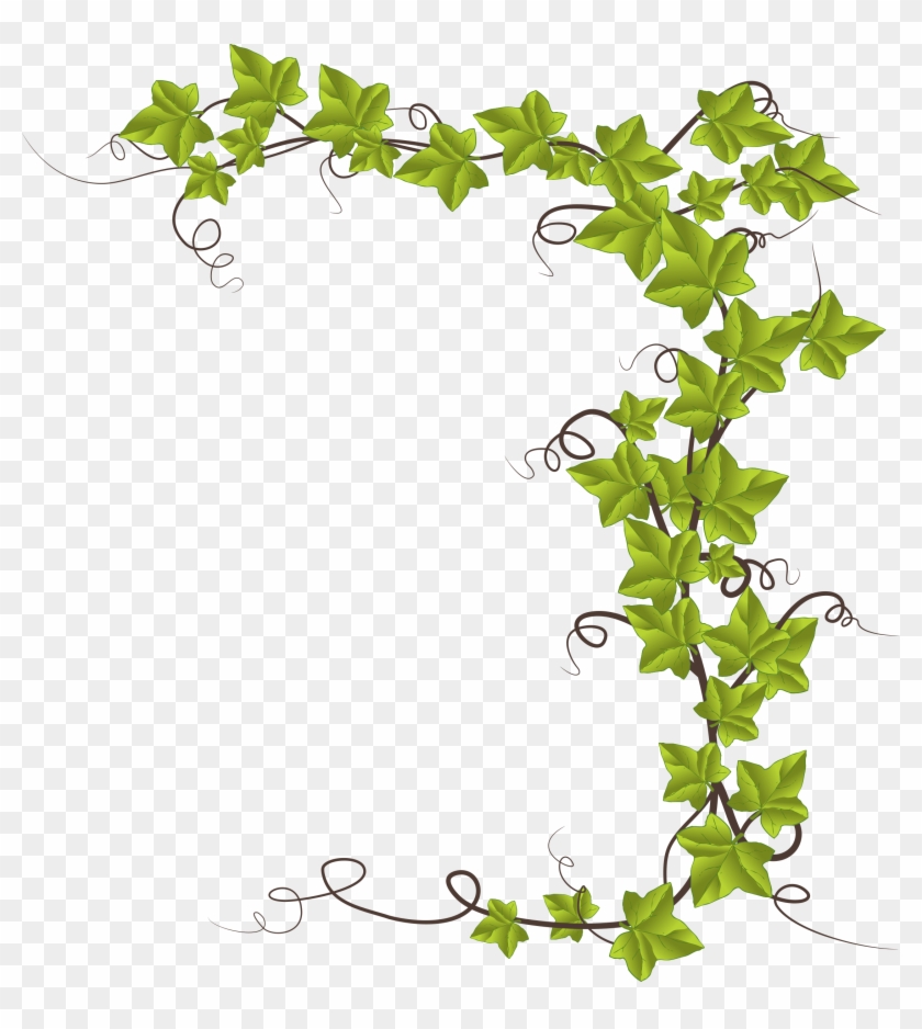 Ivy Clip Art With Pictures Medium Size - Monkeyshine Wine I Do Yoga - Just Kidding I Drink Wine #400942