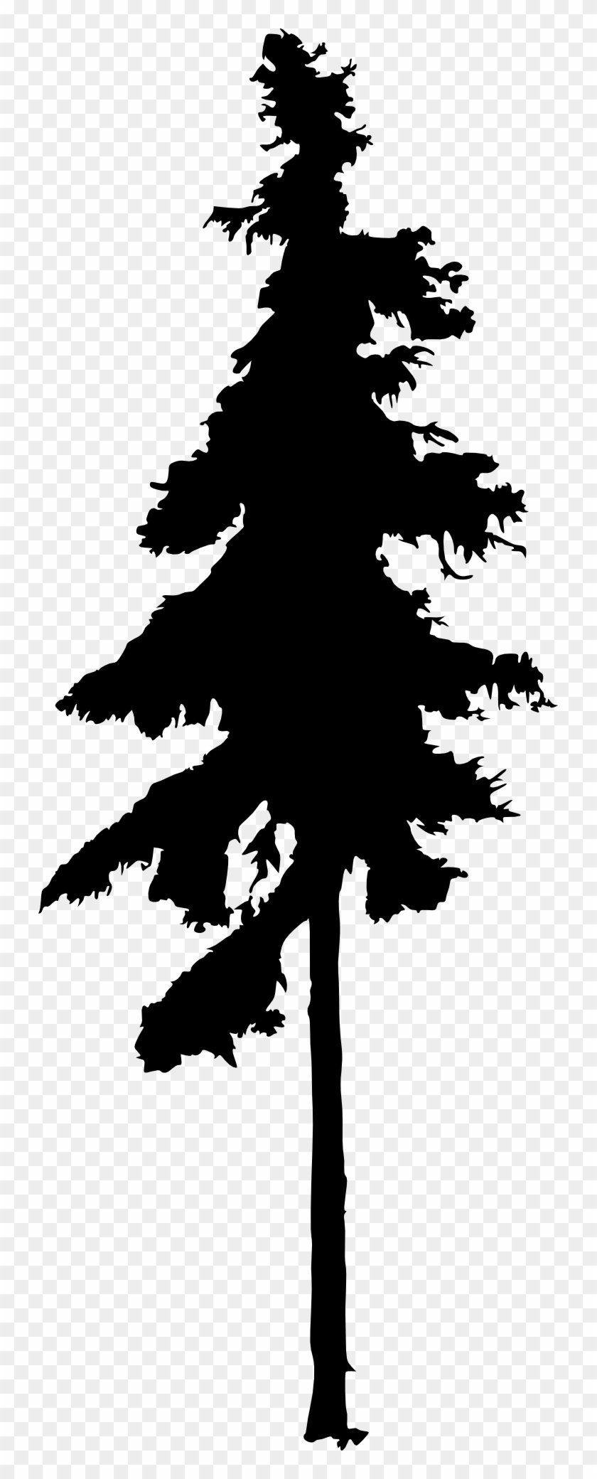 Pine Tree Drawing - Tall Pine Tree Silhouette #401356