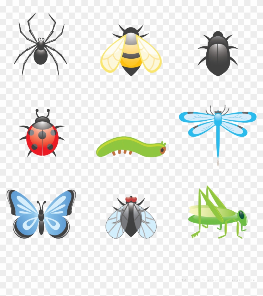 Beetle Cartoon Clip Art - Beetle Cartoon Clip Art #401811