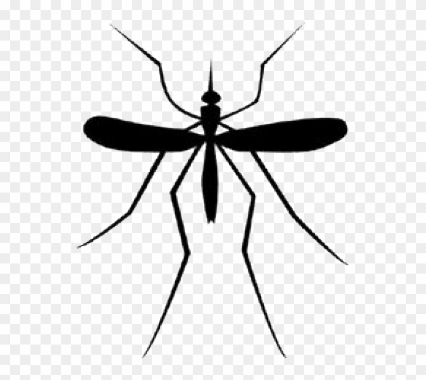 Mosquito Clipart Transparent - Mosquito Tattoo #402341