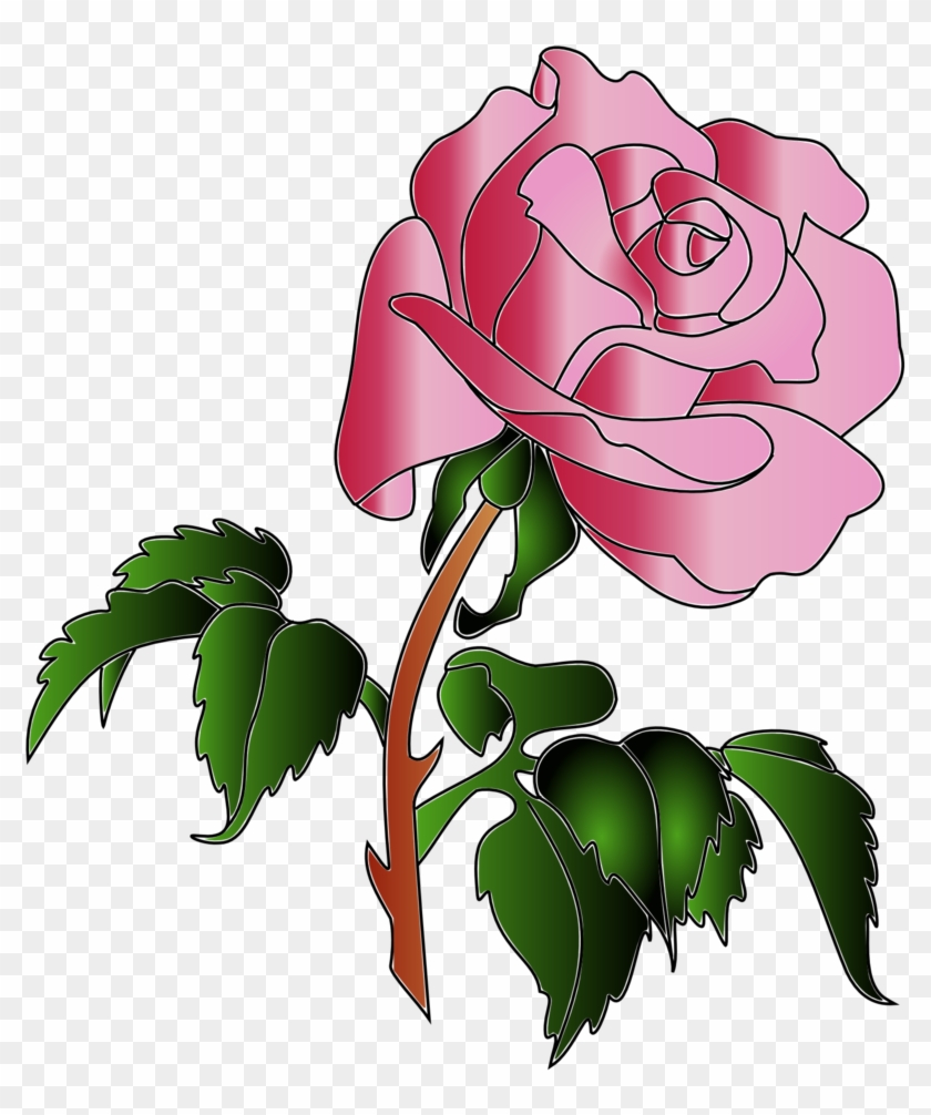 Rose Colors - Rose #402368