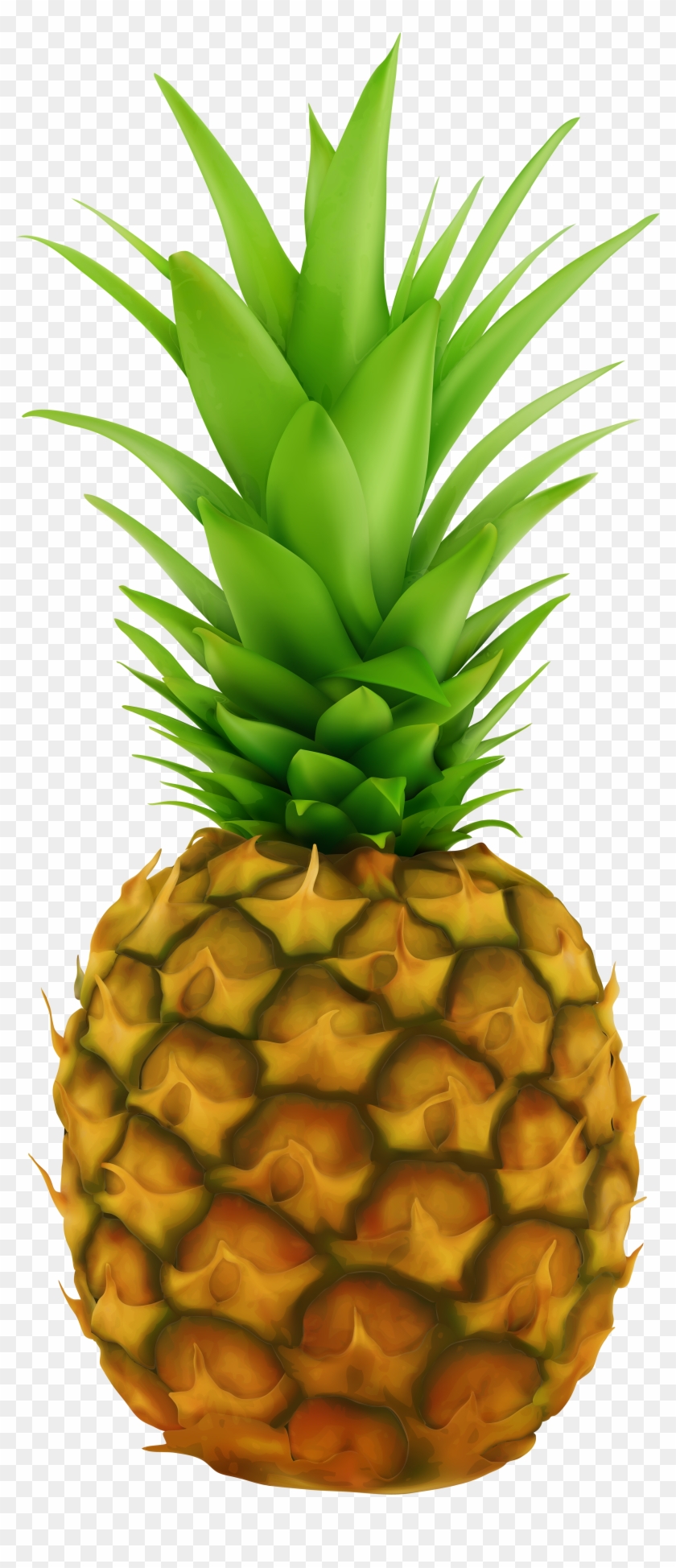 Pineapple Transparent Clip Art Image - Pineapple With Clear Background #402918