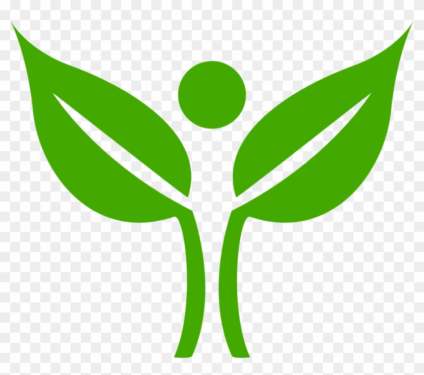 Acampamento Seguro Fogueiras - Green #403346