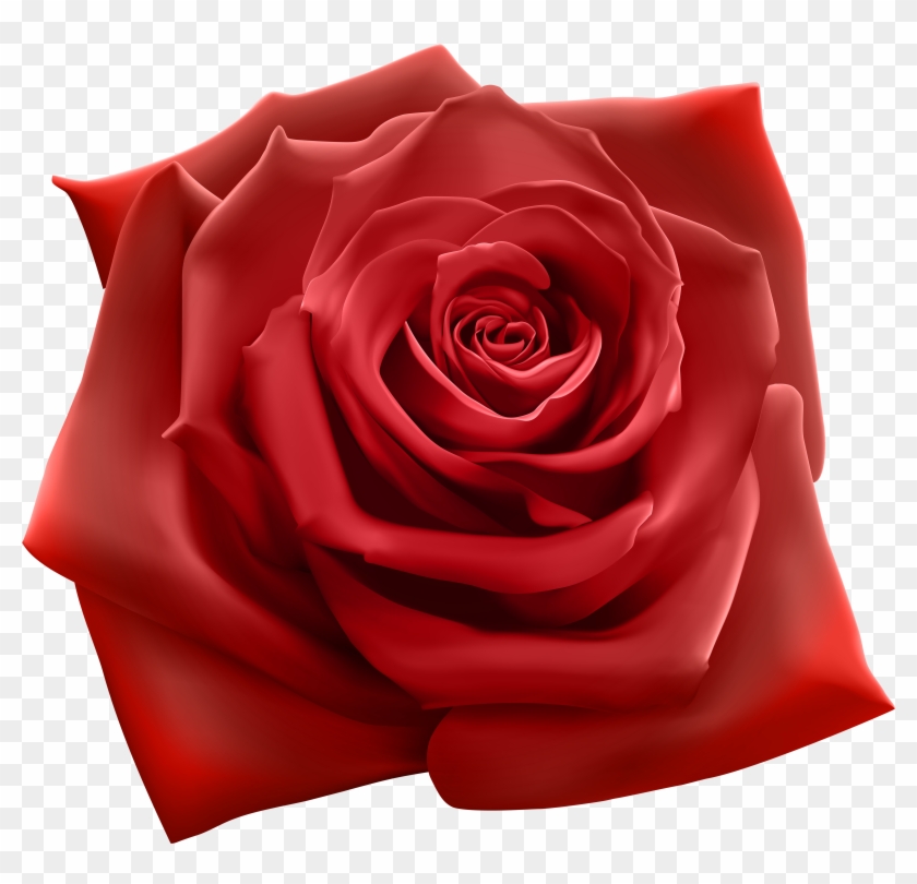 Red Rose Png Clipart Image - Red Rose Png #405983