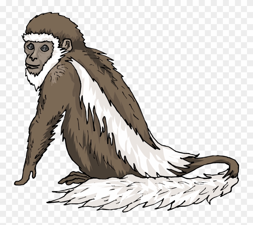 Monkey Clipart - Clip Art Colobus Monkeys #406289