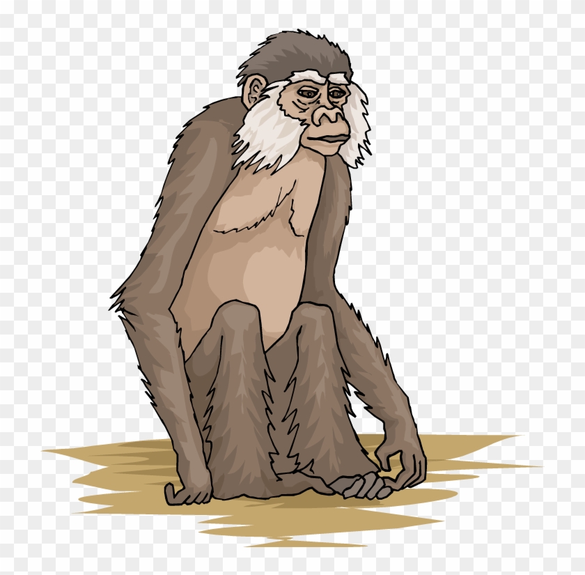 Monkey Clipart - Clip Art #406306
