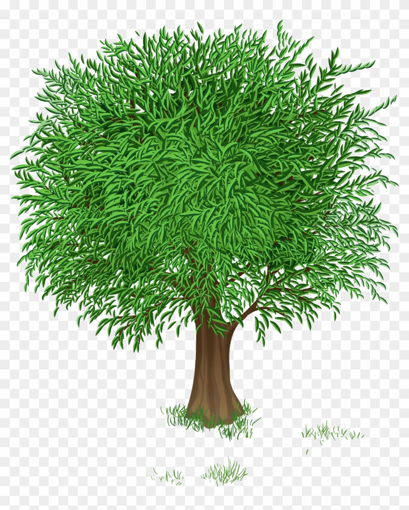 Photos Clipart Green Tree - Spring Tree Clipart #406556