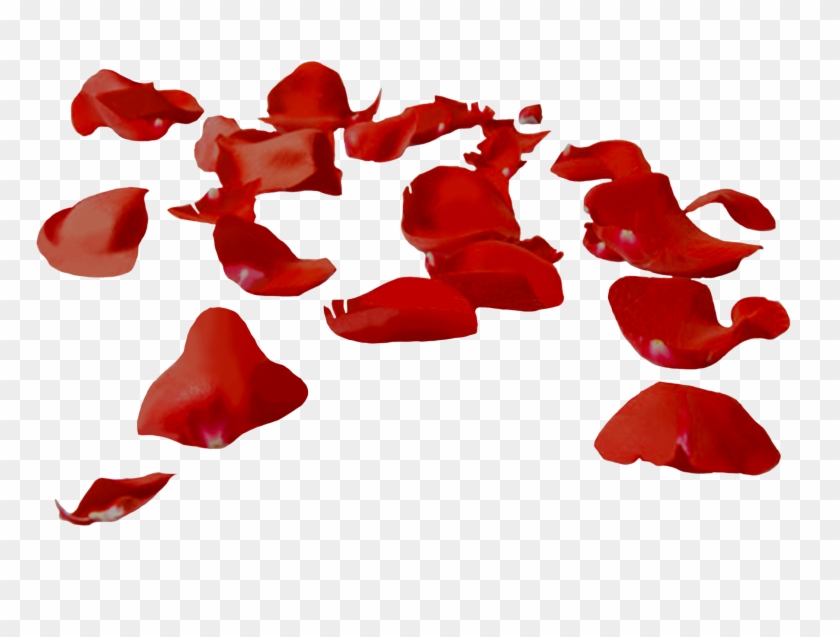 Petale Rose - Petale Rose #406584