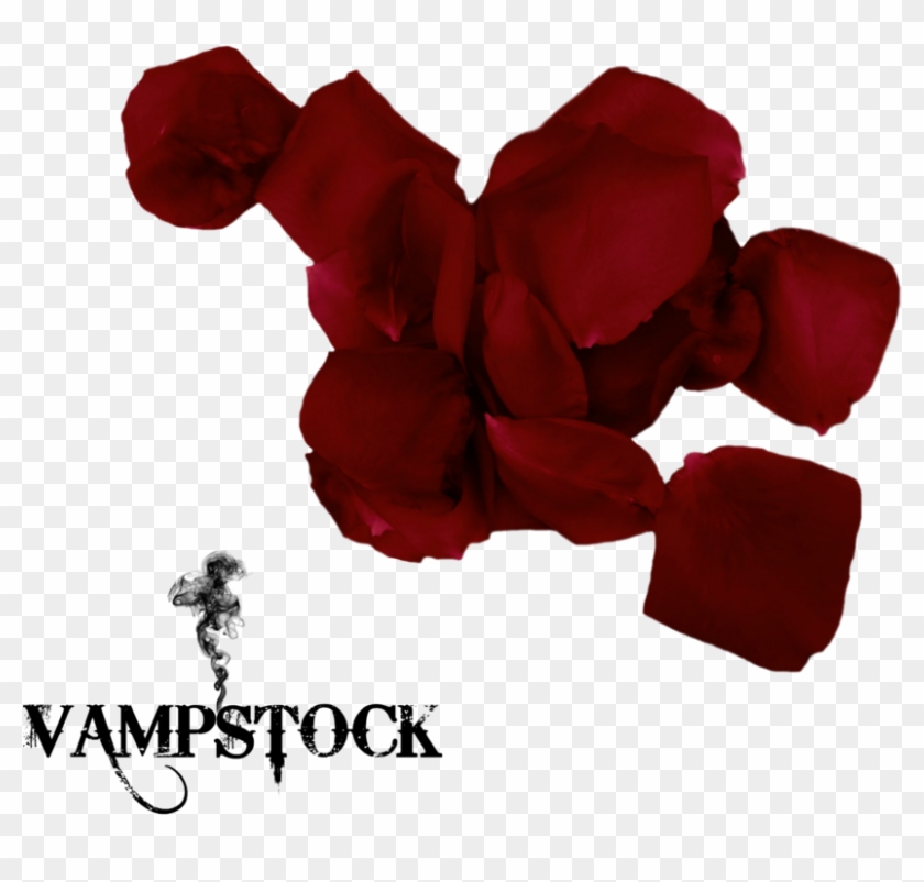 Rose Petal Png 7 Vampstock By Vampstock - Pink Umbrella Png #406604