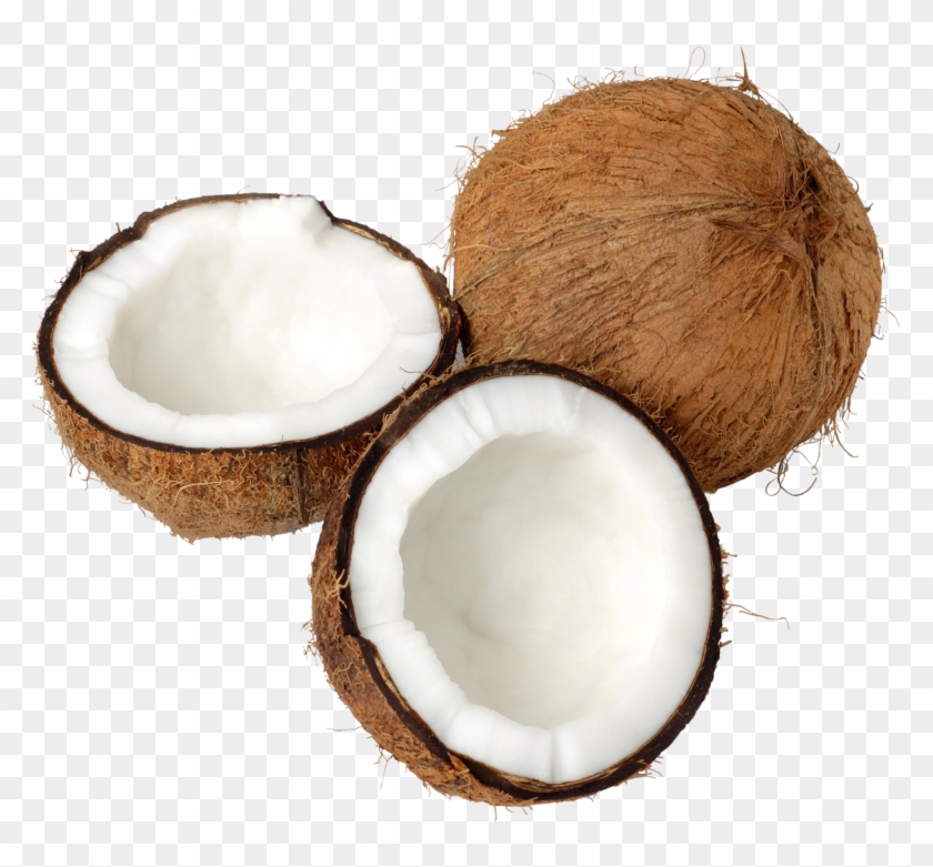 Coconut Clipart Images Coconut Clipart Photos Coconut - Coconut .png #407007