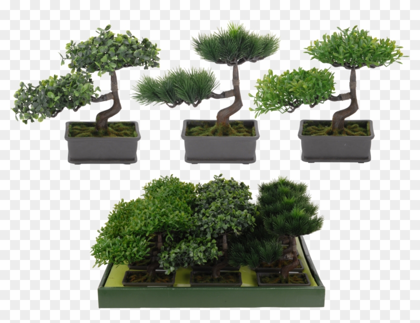 Bonsai Tree In Pot Artificial Plant Artificial Tree #407576