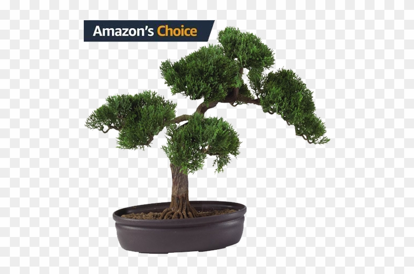 Nearly Natural Artificial Silk Plant, Cedar Bonsai - Make An Artificial Bonsai Tree #407608