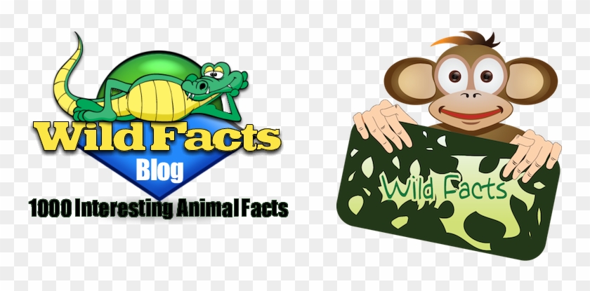 Wild Facts - Puerto Rico Me Encanta Rectangle Sticker #407802