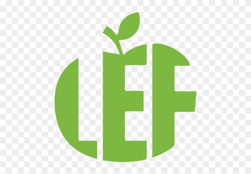 Lef - Lef #407939
