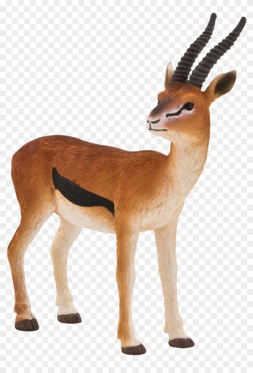Mojo Fun Thomson's Gazelle #408811