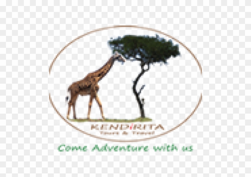 Kendirita Tours & Travel Kendirita Tours & Travel - Koksownik Zdzieszowice #408851
