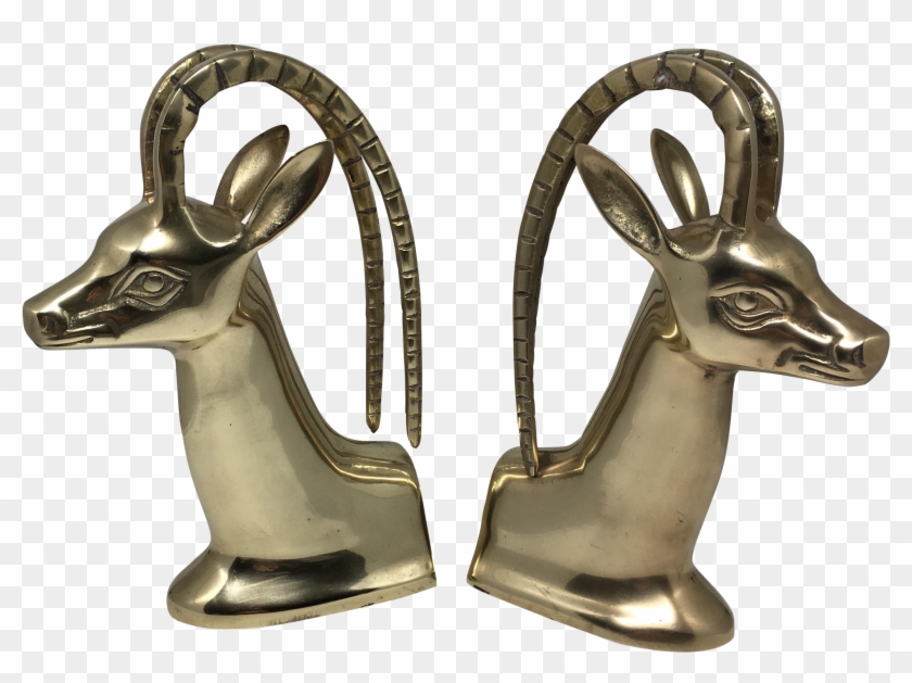 Springbok #408857