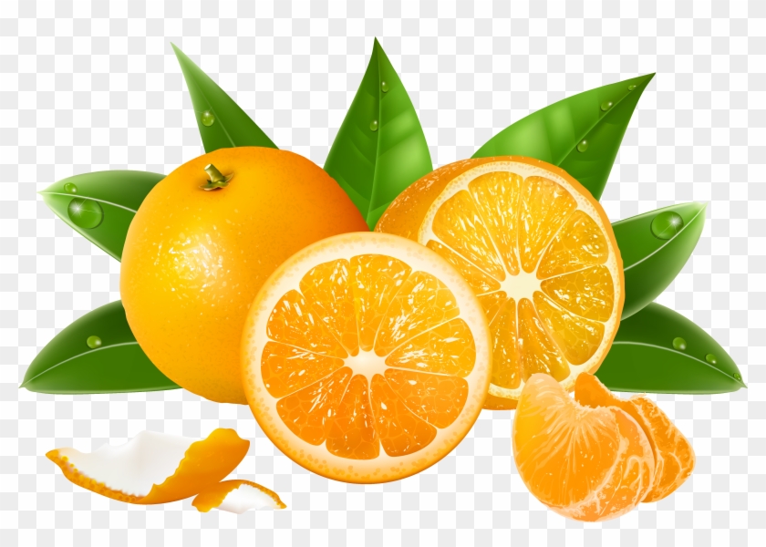 Oranges Png Clipart Image - Hkfv Superb Amazing Creative Convenience Using Cut #409272