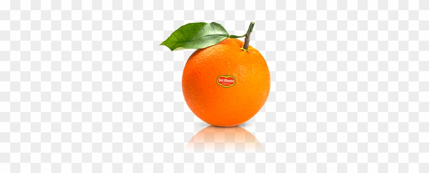 Orange - Photography #409299