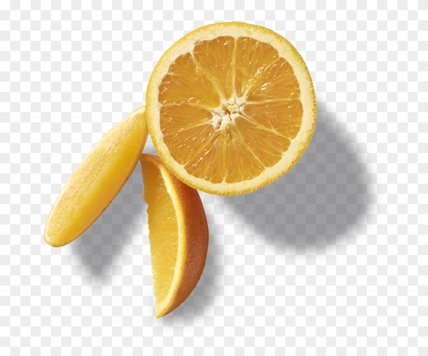 Orange Slices - Orange #409315
