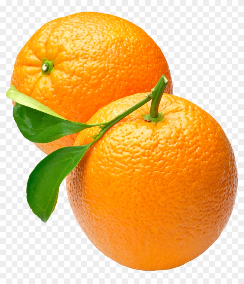 Orange Png #409535