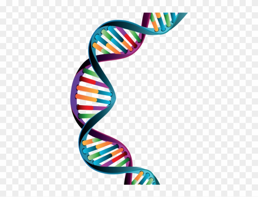 Understanding Pcr: A Practical Bench-top Guide #412090