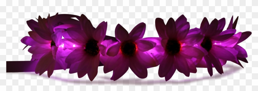 Light Up Flower Crown-littlelightlab - Light #412972
