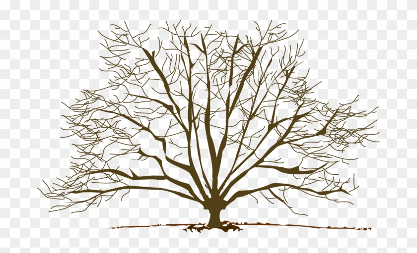 Winter Tree Free Clip Art - Winter Tree Clip Art #414134