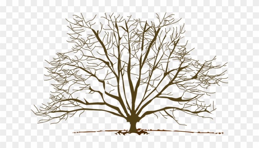 Winter Tree Clipart - Winter Tree Clip Art #414140